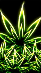 You can also upload and share your favorite stoner desktop wallpapers. Stoner Wallpaper Wallpaper Sun