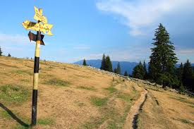 This is a list of accidents and disasters by death toll.it shows the number of fatalities associated with various explosions, structural fires, flood disasters, coal mine disasters, and other notable accidents. Piatra Craiului National Park From Brasov Day Hiking Tour 2021