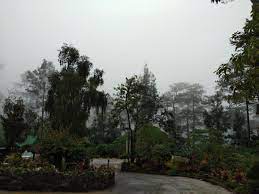 Dapatkan diskon promo paling murah, fasilitas, lihat peta terdekat & review penginapan di tiket.com Log Cabin Hotel Safari Lodge Baguio Baguio Updated 2021 Prices