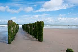 Walking a few dozen meters either way will quickly get you a more quiet spot. Enjoy The Beach And The Sea In Knokke