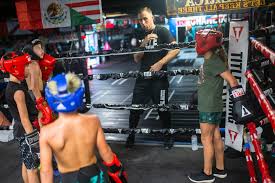 Elite Fitness produces winning formula for young boxers in Ingleside