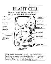 Notice that plant cells are different from animal cells even if they both have the same basic structure. Biology Animal Cell Coloring Key Coloring Pages For Kids