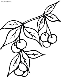 Coloring pages fruits and berries. Online Coloring Pages Coloring Page Cherries On A Branch Berries Download Print Coloring Page
