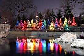 Image Results Zoo Lights Lincoln Park Zoo Christmas In The City