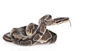 More control flow tools in python 3. Python Learning Video Courses Expand To Data Tools