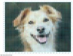 5 out of 5 stars. Upload A Photo Or Picture Of Anything And Knitpro Will Turn It Into A Knitting Or Crochet Cross Stitch Patterns Cross Stitch Embroidery Cross Stich Pattern