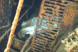 Free cancellation available for most hotels, including our daily hot rate deals up to 60% off! Here Is A Closer Image Of Old Whitey In The Ss Kamloops Submechanophobia