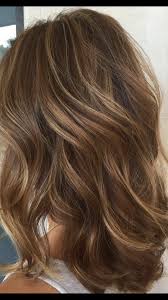 Light Brown With Highlights Brown Hair With Blonde Highlights Dark Brown Hair With Blonde Highlights Hair Color Light Brown