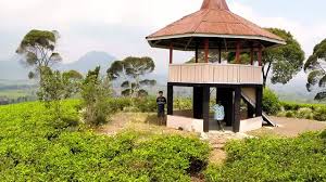 Net lifestyle 18 may 2019. Wisata Ke Kebun Teh Pangalengan Bandung Marjaya Trans