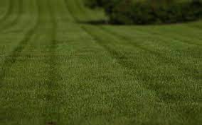We provide premier lawn service and lawn mowing services for all types of properties. The 10 Best Lawn Care Services In Erie Pa From 39
