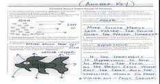 Amoeba sisters genetic drift answer key ~ learn all about. Lisa Willhite Lisaw2115 Profile Pinterest
