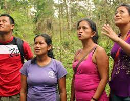 Ecuadorian has 28 translations in 10 languages. Community Agroforestry In The Ecuadorian Amazon Rainforest Alliance