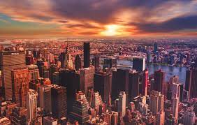 On roads where bikes and cars do have to. Starting Over In New York City 7 Things I Learned Tracy S New York Life