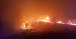 Antalya manavgat'ta yangın canli yayin son durum! Son Dakika Antalya Manavgat Ta Orman Yangini Kontrol Altina Alindi Haberler Son Dakika Haberleri