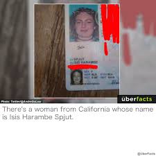 In january, 381,570 people secured real ids in california, according to the department of motor vehicles, a drop of about 21% compared with as of jan. Uberfacts On Twitter The California Dmv Has Confirmed That This Is In Fact Her Real Id