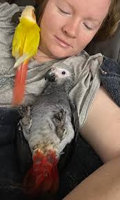 Dodge is home thankyou so much , i carnt put into words how i feel ,  thankyou everyone from the bottom of my heart xxxxxxxxxx