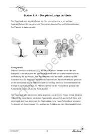 Kurze sachtexte sind im deutschunterricht als übung äußerst beliebt. Der Regenwald Lernbiene Verlag