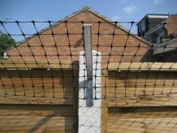 Oscillot cat proof fence diy kit 10m primrose. Cat Proof Fencing For Your Yard Straight Line Fence