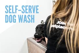 We are a full service pet spa offering green grooming by groomers trained in pet cpr and first aid. Pet Place Market