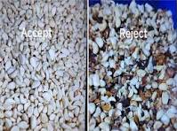 High Capacity Garlic Color Separator Machine Sorting ...