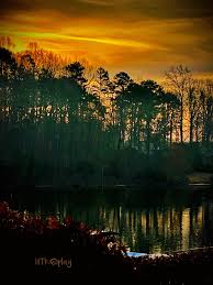 Did anyone else see the foggy rainbow this morning