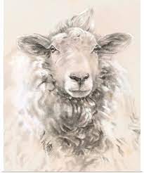 Sketched Farm Portraits I In 2021 Canvas Drawing Sheep Art Animal Paintings