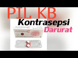 We did not find results for: Pil Kb Kontrasepsi Darurat Mencegah Kehamilan Dengan Postinor2 By Mazmur Harapanta Tarigan