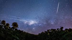 See more of starlink on facebook. Durante Semanas Satelites Da Starlink Poderao Ser Vistos A Olho Nu No Ceu Radio Porto Feliz Am 1530 Em Noticias