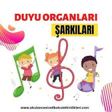 Eslestirme Etkinlikleri Okul Oncesi Faaliyetleri 2020 Okul Oncesi Okul Vucut Kesimleri