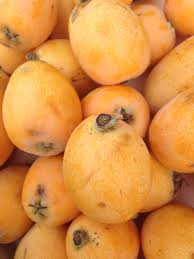 A total of 52 arab patients with ds and 52 healthy arab control subjects were studied for cd using various serological markers. Nespoli Yeni Dunya Obst Und Gemuse Obst Gemuse