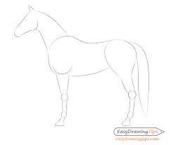 Learn how to draw a horse in less than 4 minutes! How To Draw A Horse From The Side View Tutorial Easydrawingtips