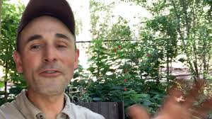 Our sincere thanks to Lynne Dobson & Greg Wooldridge for helping provide  some shade at the swing sets at Pease Park!