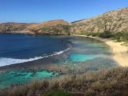 I wish we could have done another trip before our vacation was up but then we had to leave oahu earlier than planned due. The Bliss Of Going Back To Hanauma Bay Honolulu Civil Beat
