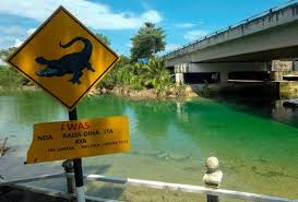 Air yang tenang jangan disangka tiada buaya maksudnya;jika melakukan sesuatu harus di pikirkan terlebih dahulu. Cantik Dan Jernih Air Sungai Rambai Tapi Ada Buaya Blog Sihatimerahjambu