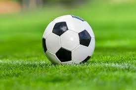 Musa's kano pillars stutter in npfl title race. Return Of Leagues Npfl Coverage Good For Nigerian Football Says Sadi The Guardian Nigeria News Nigeria And World News Sport The Guardian Nigeria News Nigeria And World News