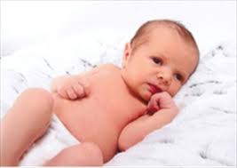 Niagara Falls Review