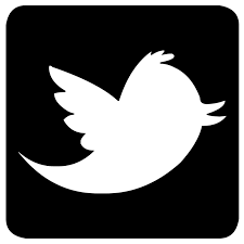 Image result for twitter logo black