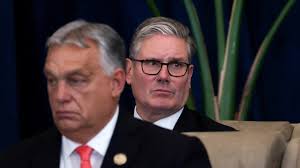 NSW Rural Fire Service facing calls to conduct audit to determine true  strength of volunteer fire fighting force