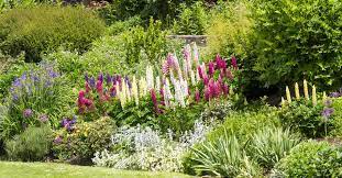 Borders kunnen op talloze manieren worden beplant. Een Kleurrijke Border Aanleggen Handige Tips Voor Jouw Tuin