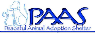 Are you having trouble finding a particular breed of dog or cat in tahlequah? Pets For Life Paas Vinita