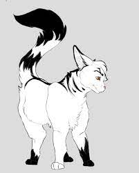 See more ideas about cats, cat silhouette, cat art. I Feel Into The Wc Rabbit Hole Again So Heres My Oc Spiderpaw Pelt A Shadow Clan Cat Warriorcats