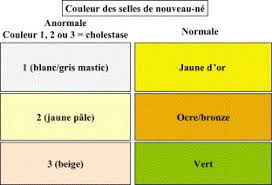 Dictionnaire Medical De L Academie De Medecine Les taches blanches dans les selles sont généralement causées par de la nourriture, des médicaments ou un parasite. dictionnaire medical de l academie de