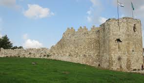 Image result for Anticharis