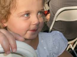 all the nuts in the tree: November 2010