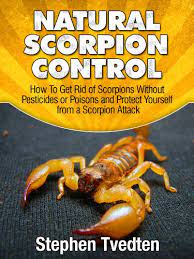 This is a sponsored post written by me on behalf of rip it energy. Natural Scorpion Control How To Get Rid Of Scorpions Without Pesticides Or Poisons And Protect Yourself From A Scorpion Attack Natural Pest Control Book 8 1 Tvedten Stephen Amazon Com