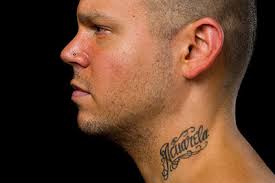 Boreales...: Calle 13 hace con música lo que los escritores transgresores  hacemos con literatura