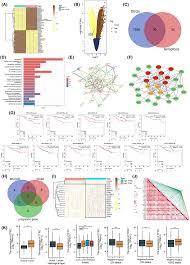 Image result for bioinformatics heatmap