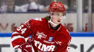 The san jose sharks have issued qualifying offers to restricted free agents kevin labanc, jonathan dahlen and tony sund, but are letting defenseman, jeremy roy, a 2015 second round draft pick. Jonathan Dahlen Named The Allsvenskan Mvp And Top Forward Canucksarmy