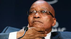 Steinmeier in South Africa