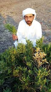 Jun 09, 2021 · read blog about چھوٹے بچوں میں گلے کی سوزش اور خراش کی علامات، وجوہات اور گھریلو علاج جانیں and health & fitness, step by step recipes, beauty & skin care and other related topics with sample homemade solution. Ø§Ù„Ø­Ø±Ù…Ù„ Ø¯ÙˆØ§Ø¡ Ø´Ø¹Ø¨ÙŠ Ø¥Ù…Ø§Ø±Ø§ØªÙŠ Ù„Ù„Ù…Ø±Ø¶ ÙˆØ§Ù„ØªØ¹Ø¨ ÙÙƒØ± ÙˆÙÙ† Ø§Ù„ØµÙØ­Ø© Ø§Ù„Ø£Ø®ÙŠØ±Ø© Ø§Ù„Ø¨ÙŠØ§Ù†